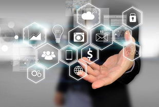 所志国软文写作案例 不靠广告靠口碑，诚信服务成就电子商务新典范